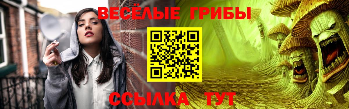 Псилоцибиновые грибы Cubensis  Вход с VPN  Махачкала  Галлюциногенные грибы мицелий 